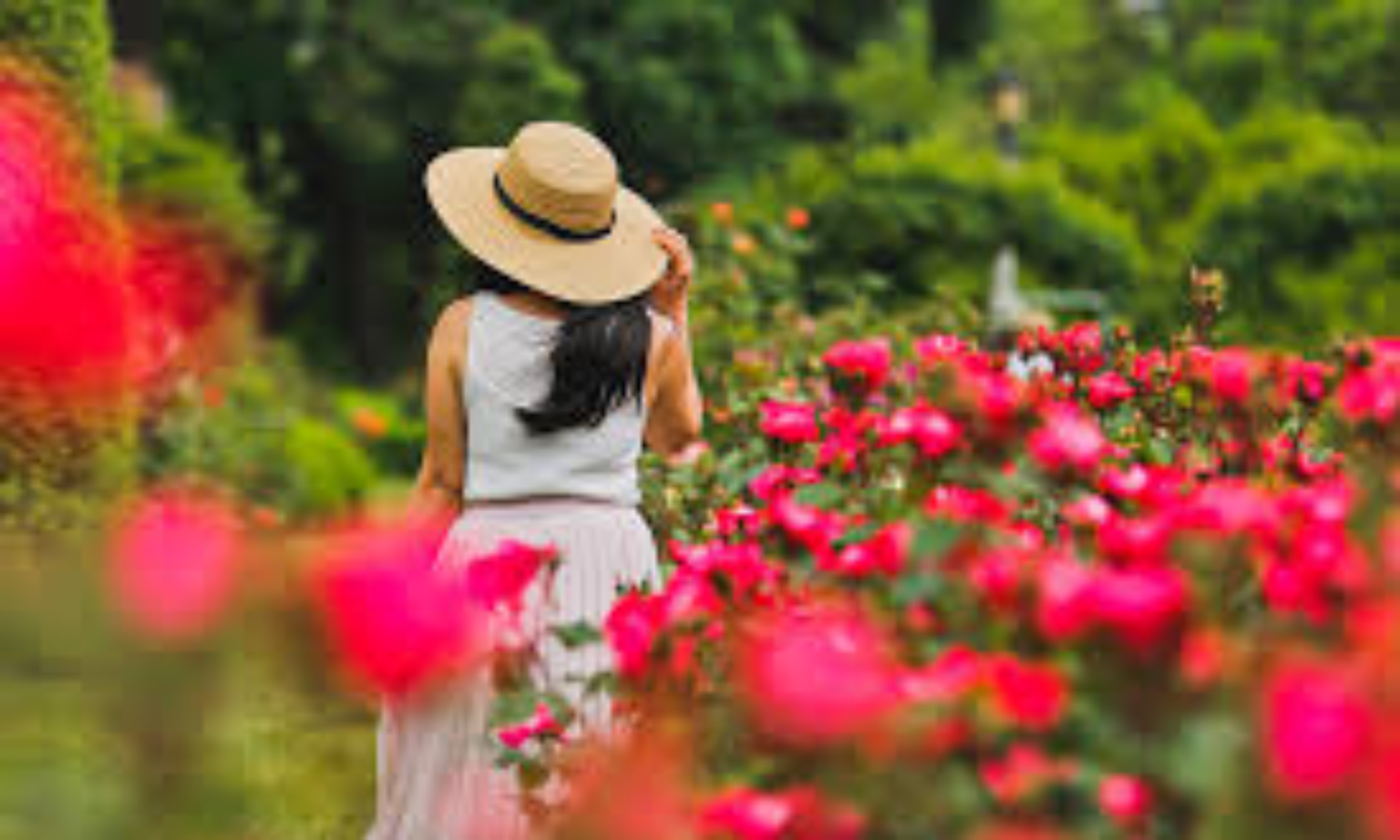 Rose City Funeral Home